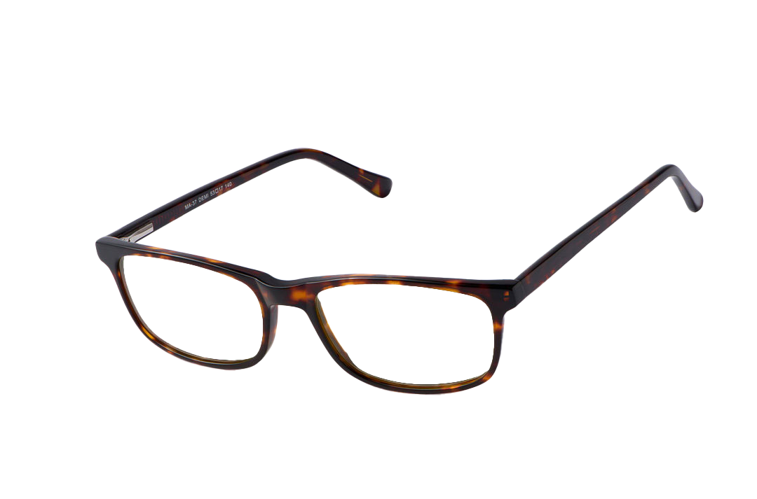 Tortoise Shell Computer Glasses Angled View