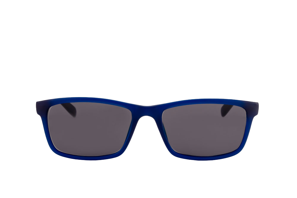 Hudson Sunglasses