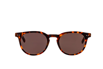 Clarke Sunglasses (Brown)