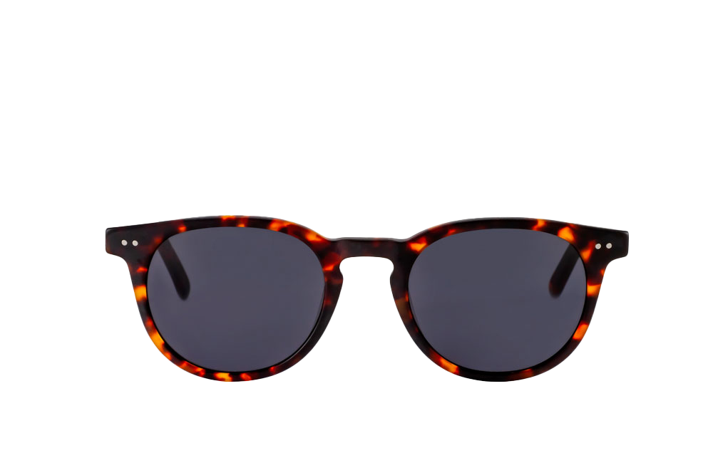 Clarke Sunglasses Readers